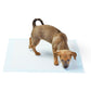 Absorbent Leak-Proof Dog Potty Pads(20 Pcs)