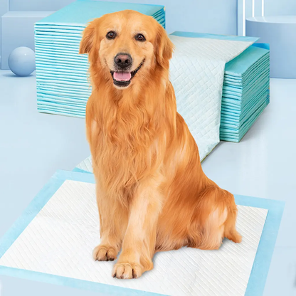 Absorbent Leak-Proof Dog Potty Pads(20 Pcs)