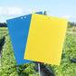 20-Pack Dual-Sided Sticky Traps