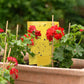 20-Pack Dual-Sided Sticky Traps