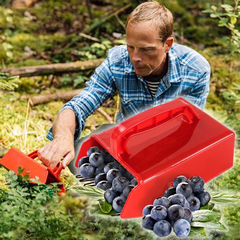 Fast Berry Picker with Metallic Comb – pasteqe