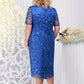 Plus Size Embroidered Cocktail Dress