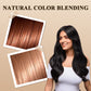🔥2025 Hot Sale Buy 2 Get 1 Free 🔥2-in-1 Hair Color Stick & Comb