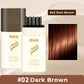 🔥2025 Hot Sale Buy 2 Get 1 Free 🔥2-in-1 Hair Color Stick & Comb