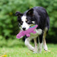 Indestructible Squeaky Plush Toy For Aggressive Chewers