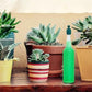 Magic Hydroponic Lliquid Fertilizer