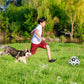 Interactive Dog Soccer Ball