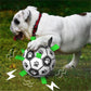Interactive Dog Soccer Ball