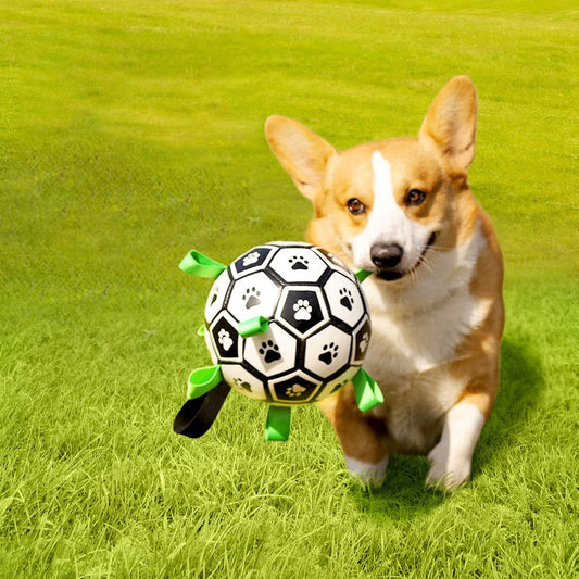 Interactive Dog Soccer Ball