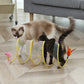 Cat Coil Toy - Buy 2 Free Shipping Today!