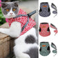 🌲Hot Sale 49% OFF🔥Pet Leash Anti-break Away Chest Strap Vest Harness