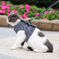 🌲Hot Sale 49% OFF🔥Pet Leash Anti-break Away Chest Strap Vest Harness