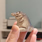 Alligator Baby Statue Ornament