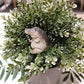 Alligator Baby Statue Ornament