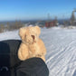 A Little Pocket Bear Hug with Card - Warm Gift