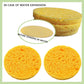 Compressed Facial Sponges for Cleansing and Exfoliating