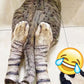 Gift Choice * 3D Print Novelty Animal Paw Socks