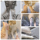 Gift Choice * 3D Print Novelty Animal Paw Socks
