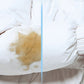 Powerful Foam Cleaner for Fabric
