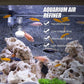 [Creative Gift] Mini Transparent Aquarium Bubble Diffuser Set