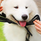 Adjustable Soft Mesh Dog Muzzle
