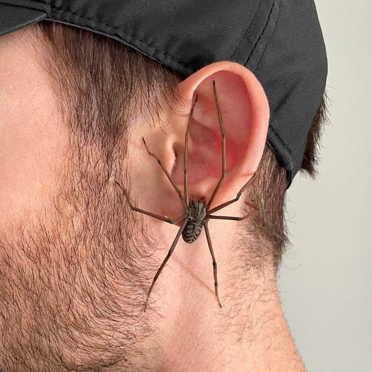 The Giant Spider Earring