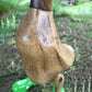 Hand Carved Wellies Duck Family